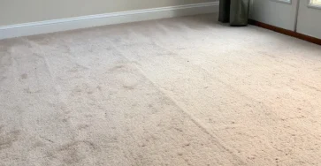 Remove Carpet Stains Naturally