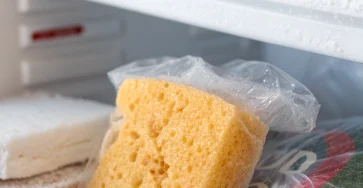 Why You Should Freeze Your Sponge